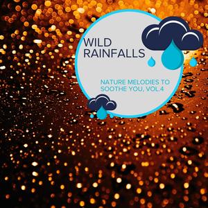 Wild Rainfalls - Nature Melodies to Soothe You, Vol.4