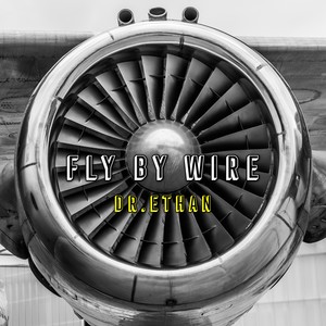 FLY BY WIRE