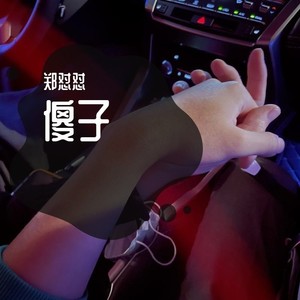 傻子-郑怼怼