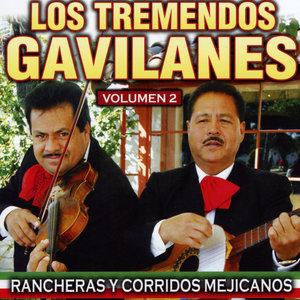 Rancheras y Corridos Mejicanos 2