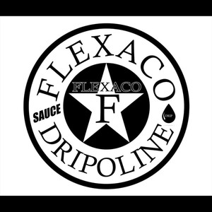 Choosy (feat. DB Boutabag, The Gatlin & ehSOeLO) (Explicit)