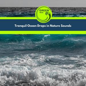 Tranquil Ocean Drops in Nature Sounds