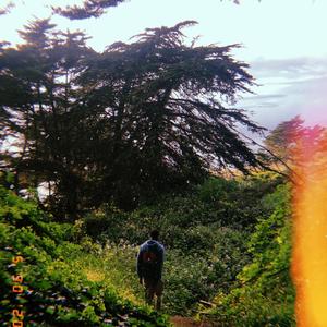 Acid Made Me (Explicit)