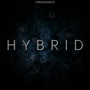 HYBRID (Explicit)