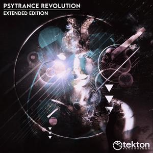 Back To Wonderland (Original Mix)