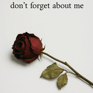 Dont Forget About Me (Explicit)