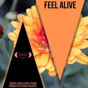 Feel Alive: 2020 Healing and Meditation Music