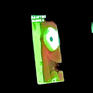 Microplastics in the brain