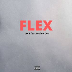 Flex (Explicit)