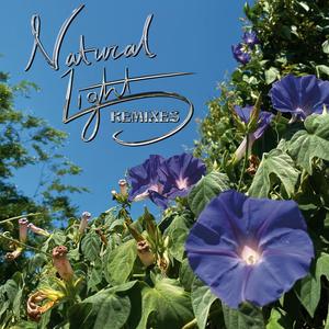 Natural Light (Remixes) [Explicit]