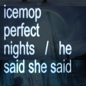 perfect nights / he said she said (Explicit)