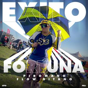 EXITO Y FORTUNA (feat. Jsto)