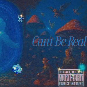 Can't Be Real (feat. Seer Satori & KVBRIT!) (Explicit)