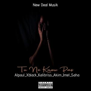 Tu Ne Know Pas (feat. Alpaul, Kalibriss, Xblack, Akim Ledrame, JMel & Saha) (Explicit)
