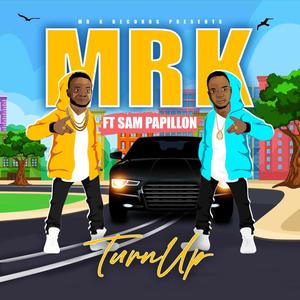 TURN UP (feat. SAM PAPILLON)