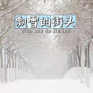 飘雪的街头