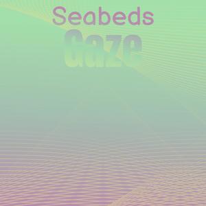 Seabeds Gaze