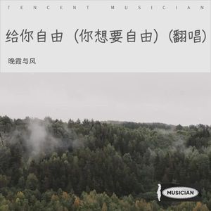 给你自由 (Live)