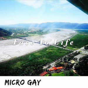 Micro Gay's Life