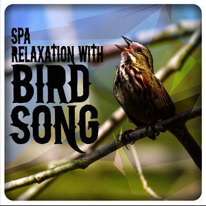 Spa Relaxation with Bird Song