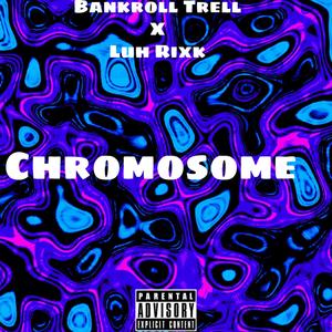 Chromosome (Explicit)