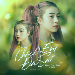 Chắc Do Em Đã Sai (TOPKN Remix)