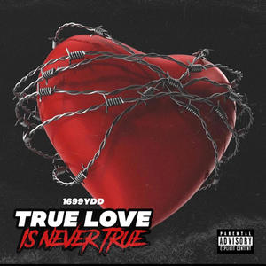 TRUE LOVE IS NEVER TRUE (Explicit)