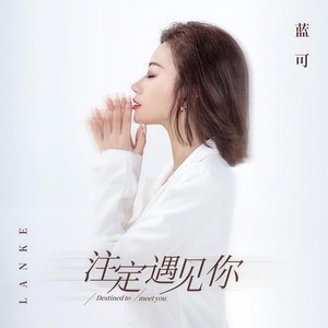 注定遇见你