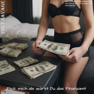 Fick mich als wärst Du das Finanzamt (Explicit)