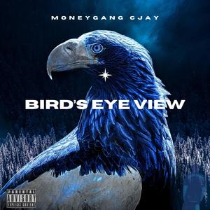 Bird's Eye View (Explicit)