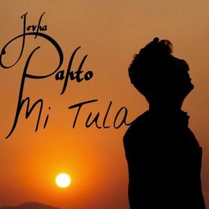 Jevha Pahato Mi Tula (feat. Mangobass)