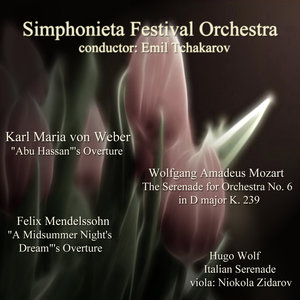 A Midsummer Night's Dream, Op.21 - I. Overture