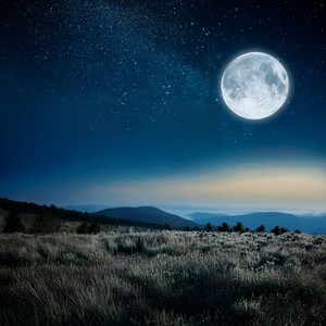 El Silencio Entre El Sueño Y La Vigilia