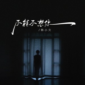 不能不想你 (韩小欠版)封面