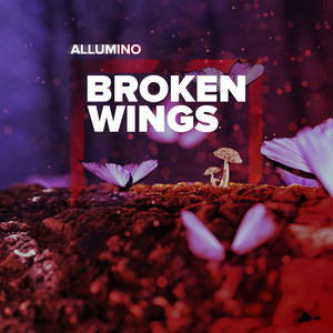 Broken Wings