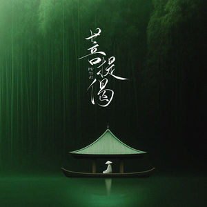 菩提偈 (DJ光波0.9x)封面