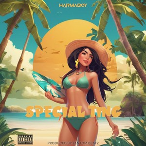 Special Ting (Explicit)