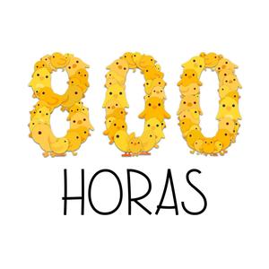 800HORAS