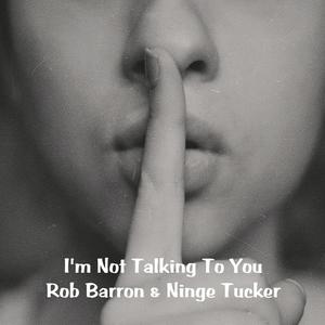 I'm Not Talking To You (feat. Ninge Tucker)