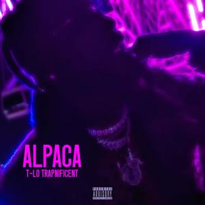 Alpaca (Explicit)