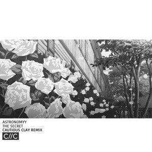 The Secret (Cautious Clay Remix)