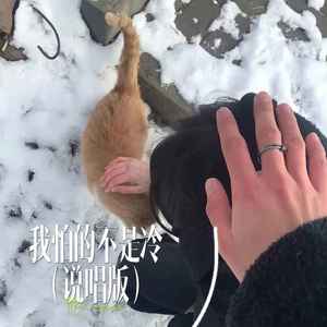 我怕的不是冷 (说唱版)