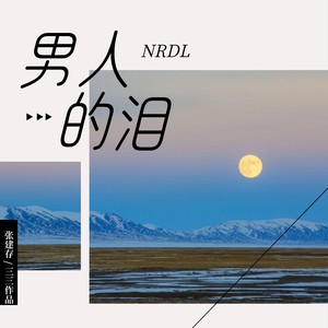 男人的泪 (流行男声版)