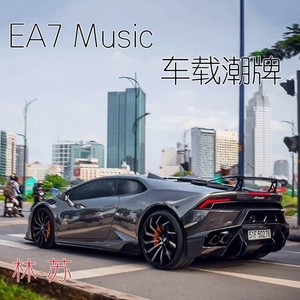 EA7 Music车载潮牌