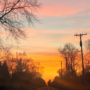 Dead Bodies (Explicit)