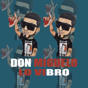 Lo Vibro