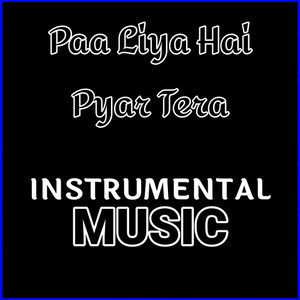 Paa Liya Hai Pyar Tera