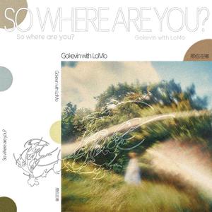 那你在哪 (Explicit)