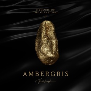 Ambergris