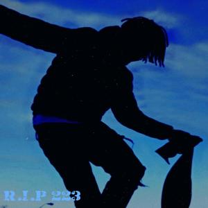 R.I.P 223 ( DELUXE) [Explicit]